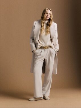 Quince Stretch Crepe Pleated Wide Leg Dress Pants Sand Women's 10